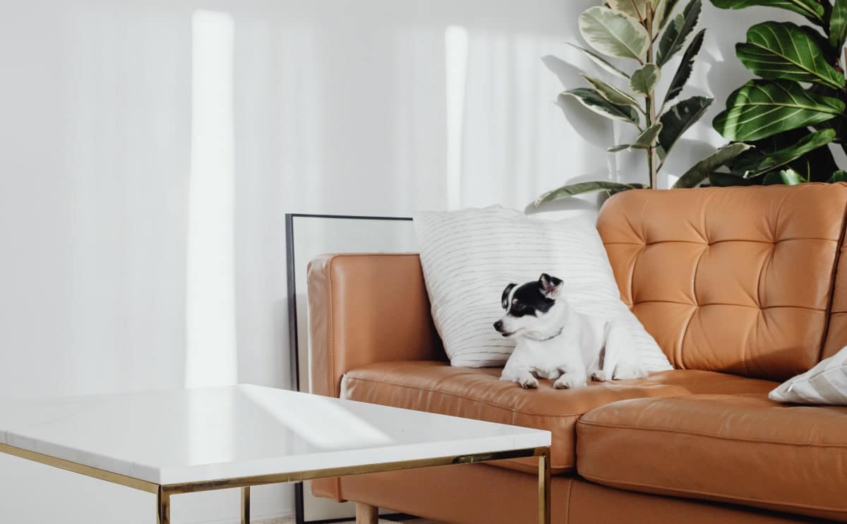 Wd Furniture Blog Opt