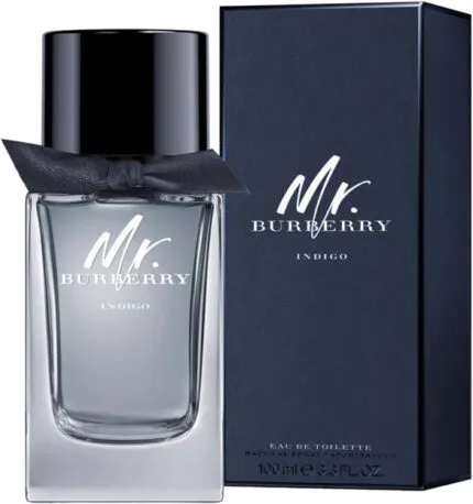 Burberry Mr. Burberry Indigo Eau de Toilette 30ml Spray