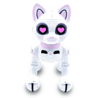 Kitty01_2_1-1jpg - Express1worlduk