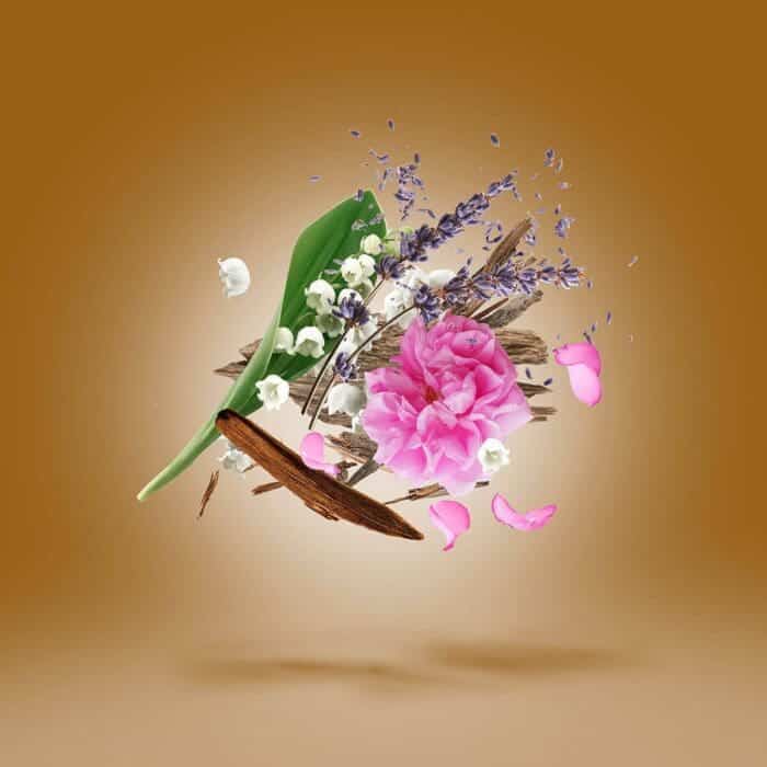 Xerjoff Alexandria II Eau de Parfum 100ml Spray - Image 5