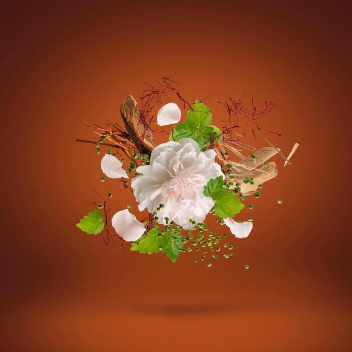 Xerjoff 1888 Eau de Parfum 100ml Spray - Image 4