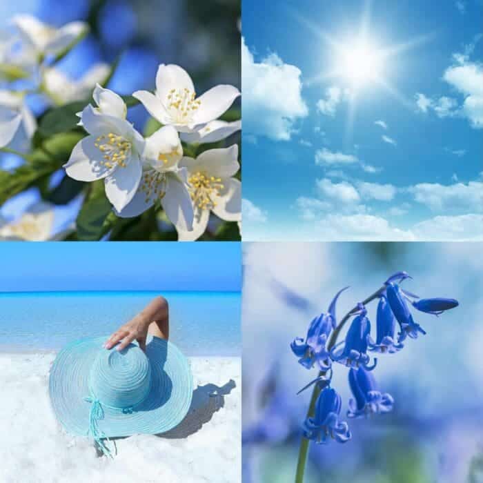 Milton Lloyd Summer Sky Parfum de Toilette 50ml Spray - Image 3