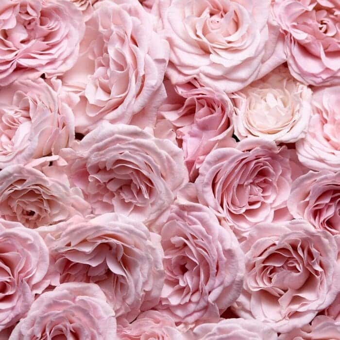 Escada Especially Eau de Parfum 75ml Spray - Image 6