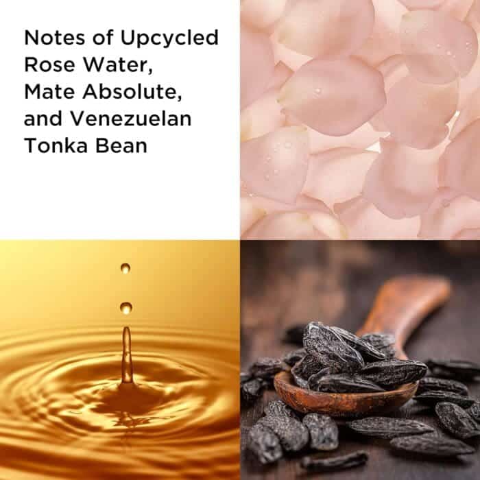 Elizabeth Arden White Tea Eau de Parfum Gift Set 100ml EDP + 100ml Body Cream - Image 3