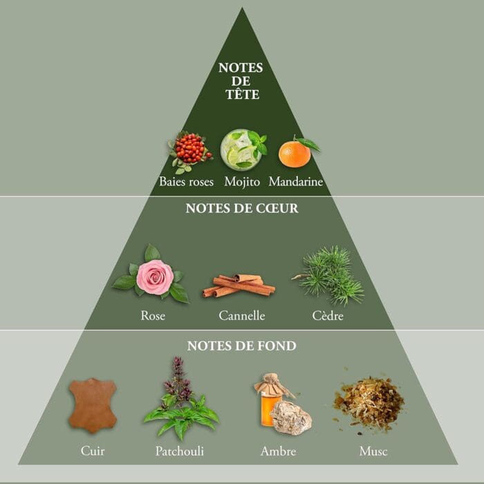 Evaflor Whisky Origin Eau de Toilette 100ml Spray - Image 3