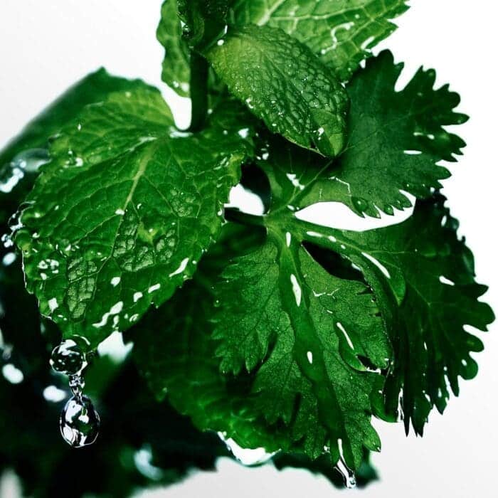 Davidoff Cool Water Deodorant Stick 70g - Image 2