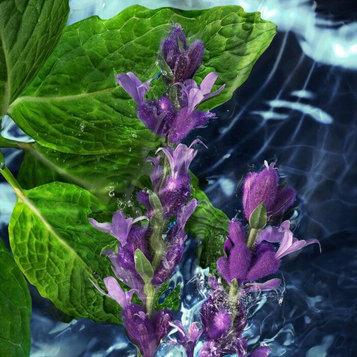 Davidoff Cool Water Deodorant Stick 70g - Image 5