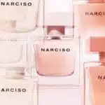 Narciso Poudree