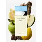 Dolcegabbana Light Blue Eau De Toilette Key Fragrance Notes