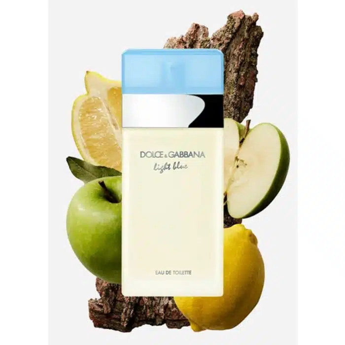 Dolcegabbana Light Blue Eau De Toilette Key Fragrance Notes