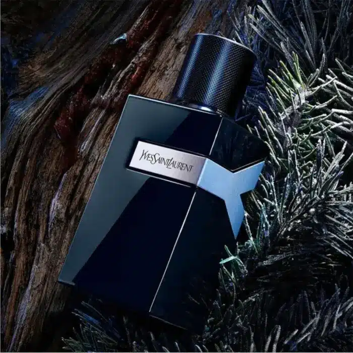 Yves Saint Laurent Y Le Parfum Notes
