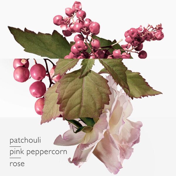 Hermes Twilly d'Hermes Eau Poivree Eau de Parfum 85ml Spray - Image 4