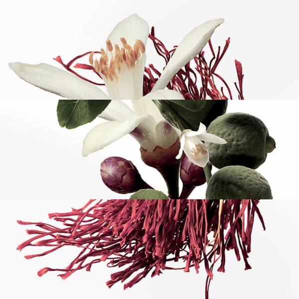 Hermes Eau de Neroli Dore Eau de Cologne 100ml Spray - Image 2