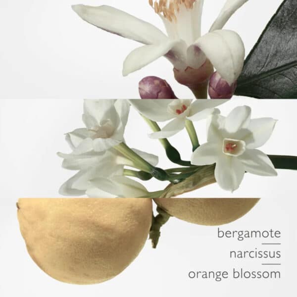 Hermes Eau de Neroli Dore Eau de Cologne 100ml Spray - Image 3